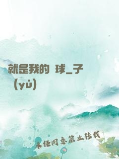 這就是我的籃球